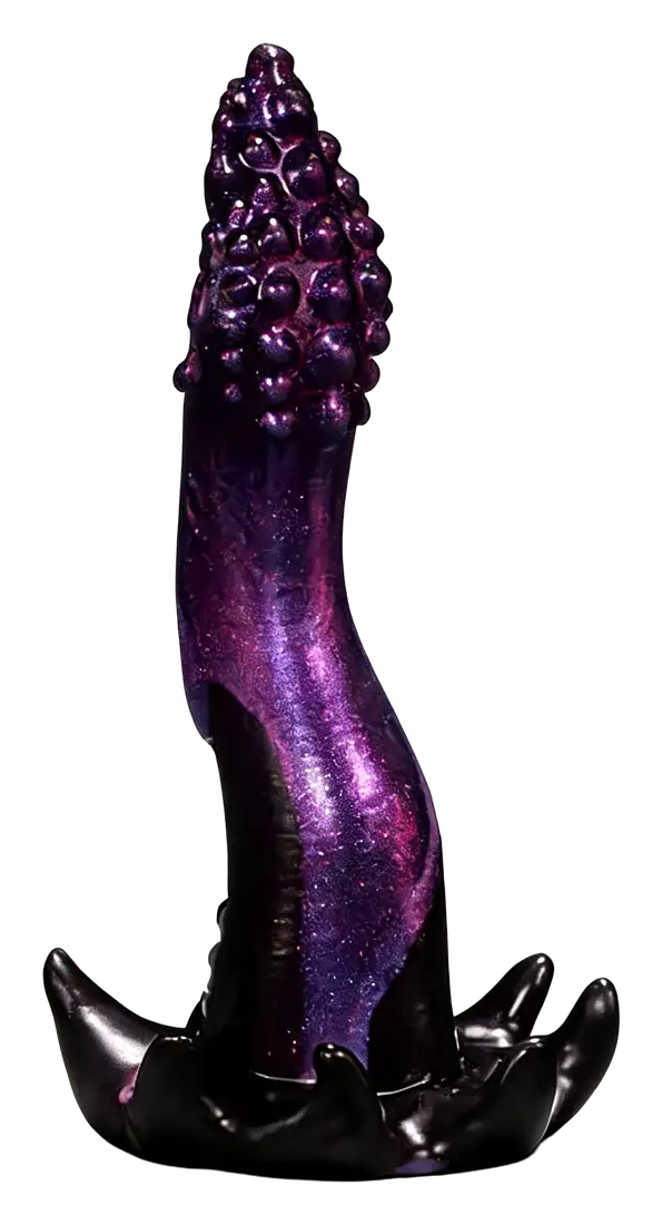 Squid