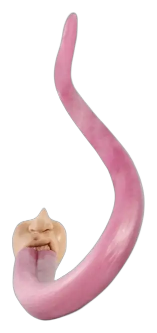 Licker Depth Training Dildo by Sinnovator — the full sculpt, cut out against the page